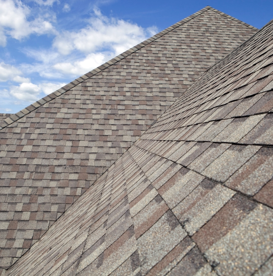 Close-up of textured roof shingles