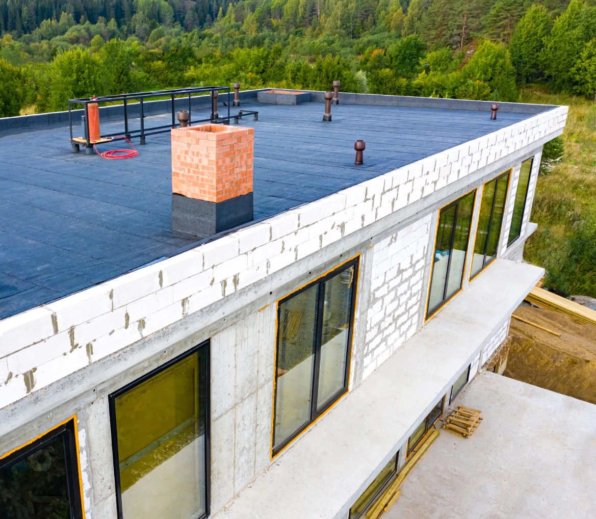 Contemporary building surrounded by lush greenery