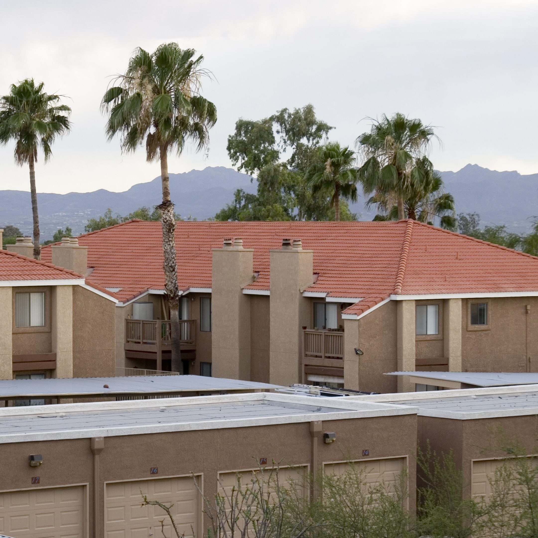 Apartment buildings with palm trees and mountains in the background.